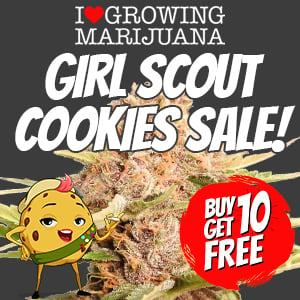 free girl scout cookies seeds