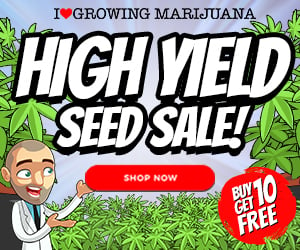 high yield aff