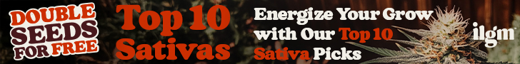 Top 10 Sativa Seeds - ILGM Affiliate Banner